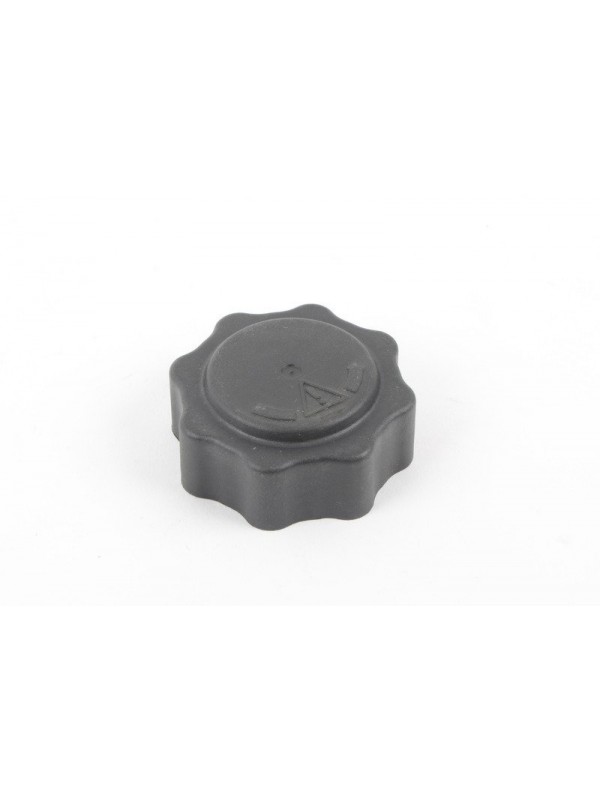 MİNİ R50 D / R53 S RADYATÖR KAPAĞI W11/W17