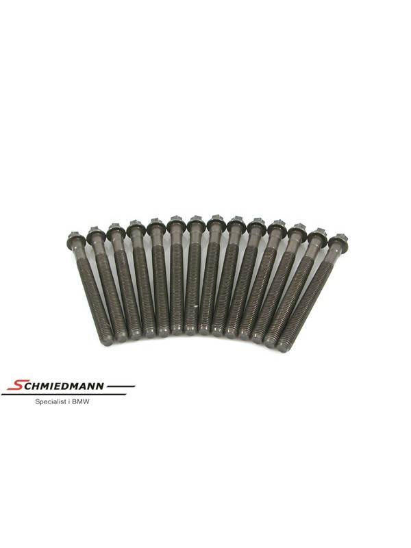E36/E46/E39/E60/E65/X5 E53/Z4 E85 SİLİNDİR KAPAK SAPLAMASI M52/M54