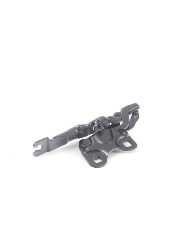 R60 KAPUT MENTEŞESİ SOL