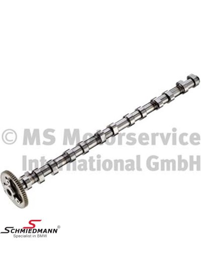M57N2 EKSANTRİK MİLİ EMME - 11317791579 M57N2 EKSANTRİK MİLİ EMME - 11317791579