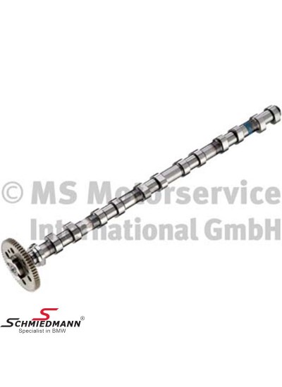 M57N2 EGZANTRİK MİLİ EKSOZ - 11317791580 M57N2 EGZANTRİK MİLİ EKSOZ - 11317791580
