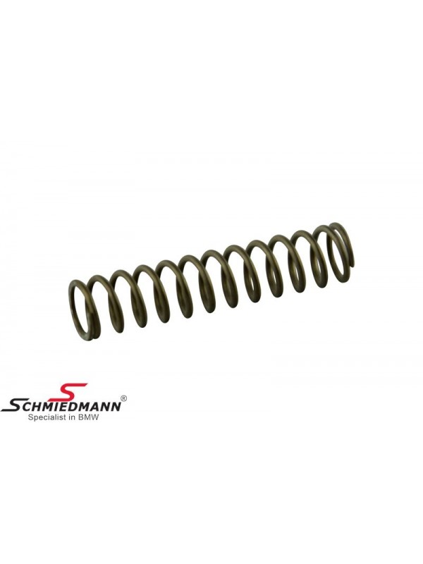 E90/E92/E93/E60 ///M3-M5 YAĞ POMPA ZİNCİR GERGİ YAYI S65/S85